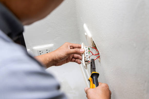 Best Electric Panel Repair  in Terre Haute, IN